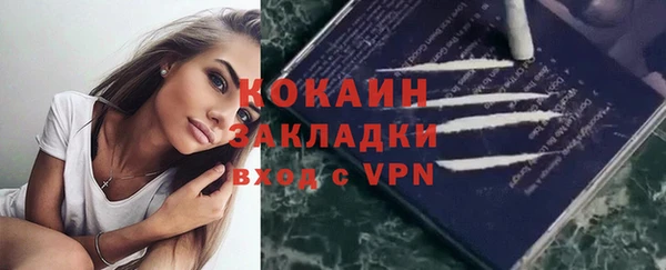 прущие грибы Балахна