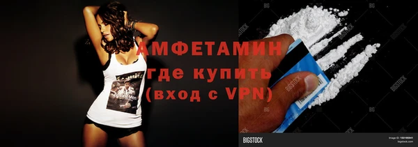 прущие грибы Балахна