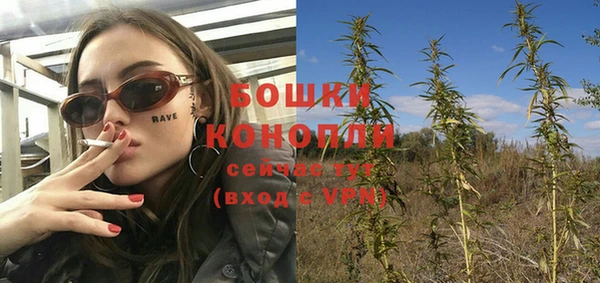 прущие грибы Балахна