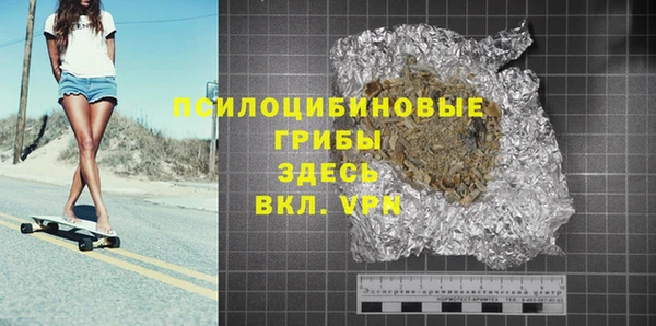 прущие грибы Балахна