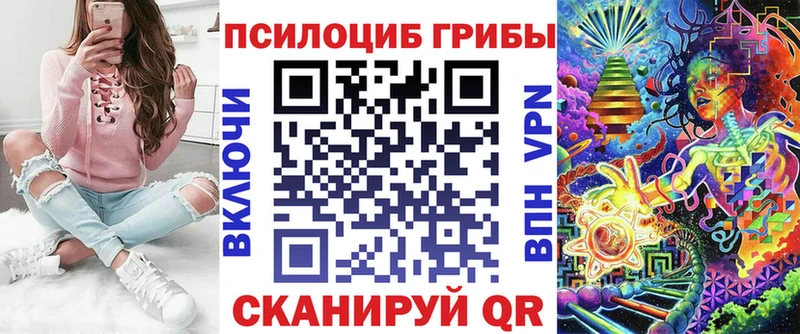 Псилоцибиновые грибы Psilocybe  кракен маркетплейс  Бузулук 